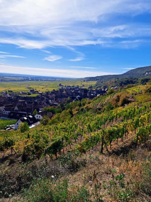 Entre Vignes Et Vergers Gite Parenthese Gueberschwihr Dış mekan fotoğraf